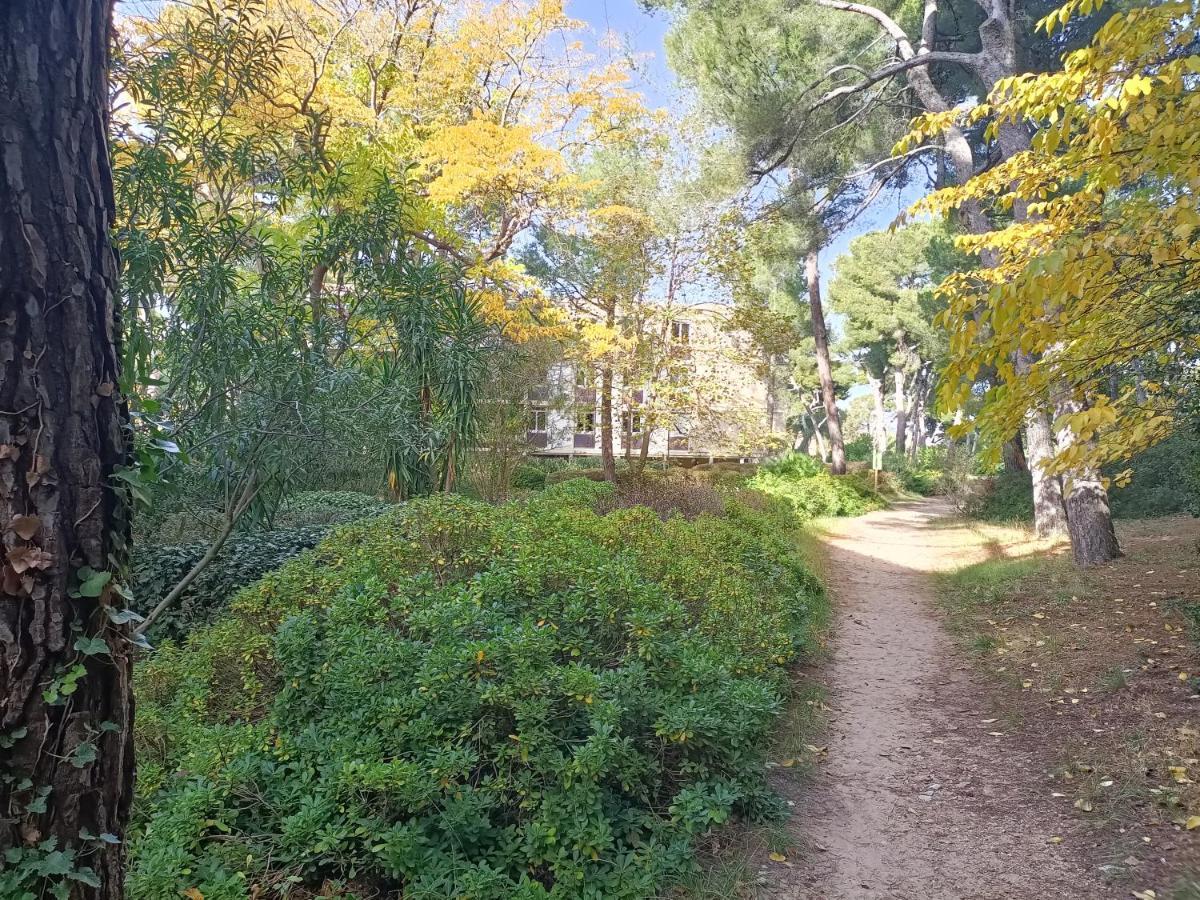 מרסיי Vue Mer Et Montagne Dans Parc Du Roy D'Espagne, Up To 7 People מראה חיצוני תמונה